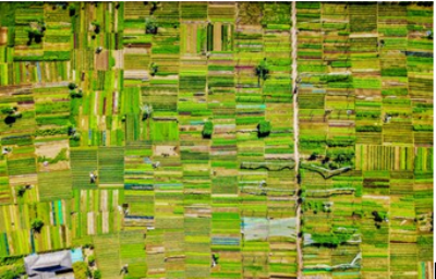 Monitoreo ambiental de Agroecosistemas (INTA)