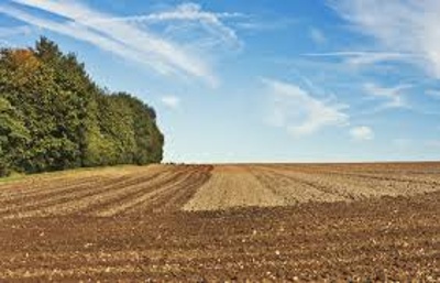 ENSEÑAR EN LA ETP DESDE EL ABP Y LA FORMACIÓN POR CAPACIDADES - AGROPECUARIA