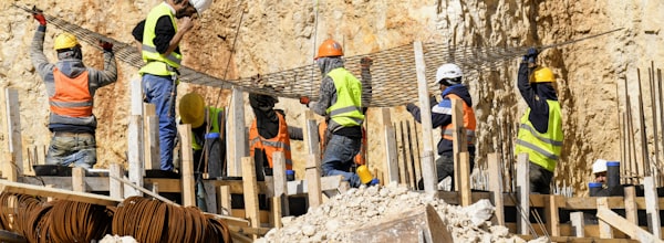 Profesionales Ingeniería